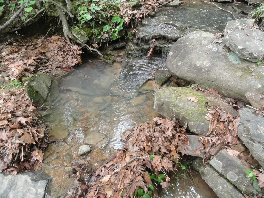 Picture 32