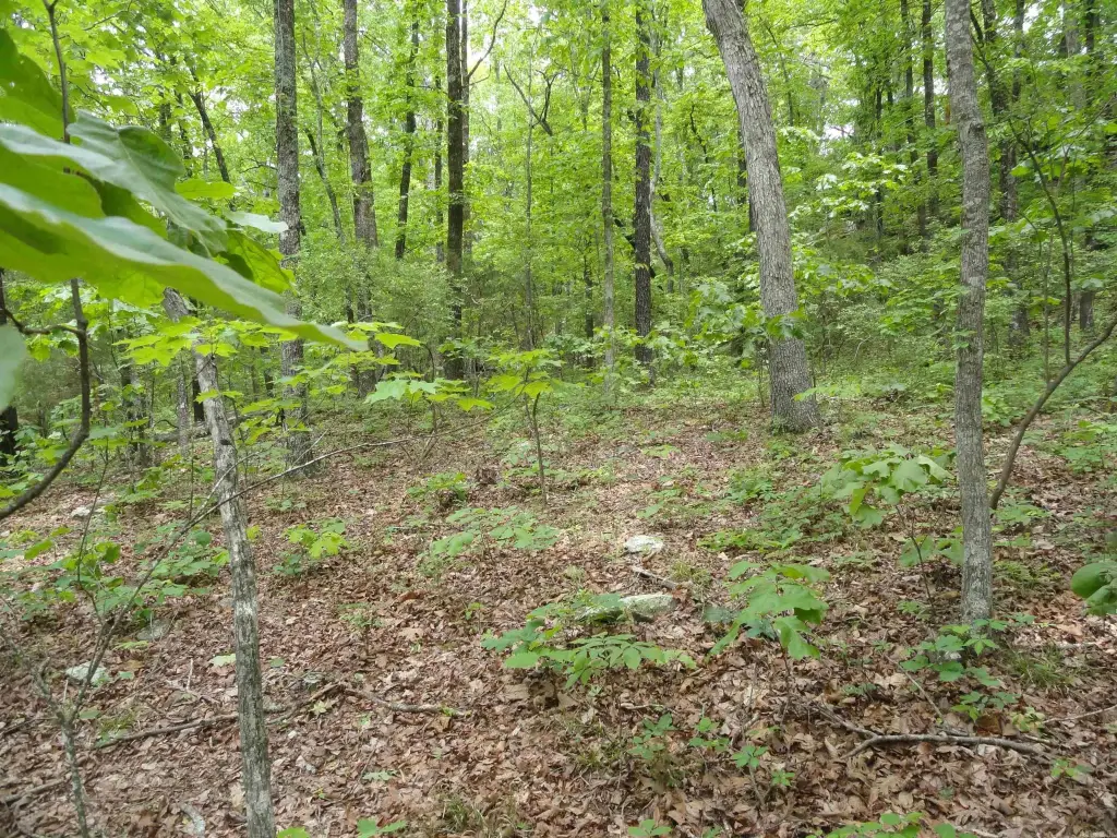 Picture 27