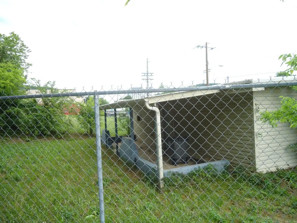 Picture 8