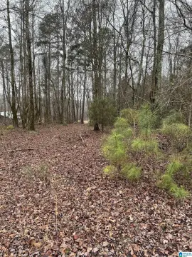 Land For Sale in Woodland