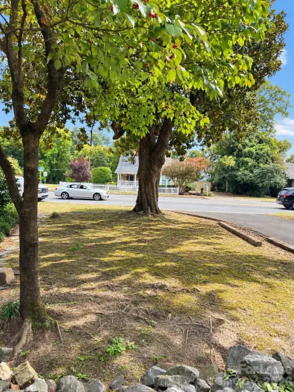 Picture 23