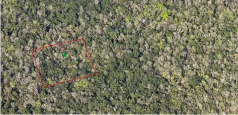 Oak Hill Vacant Land Parcel