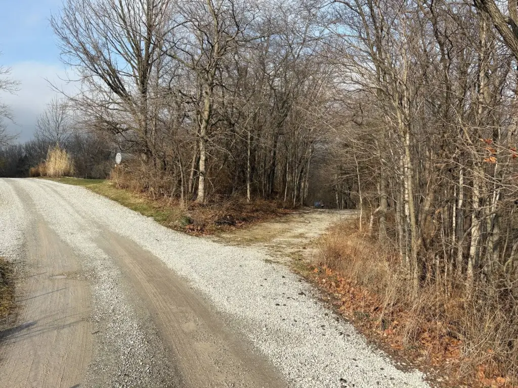 Picture 2