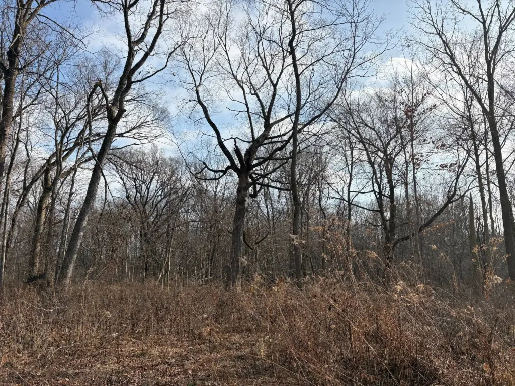 Picture 10