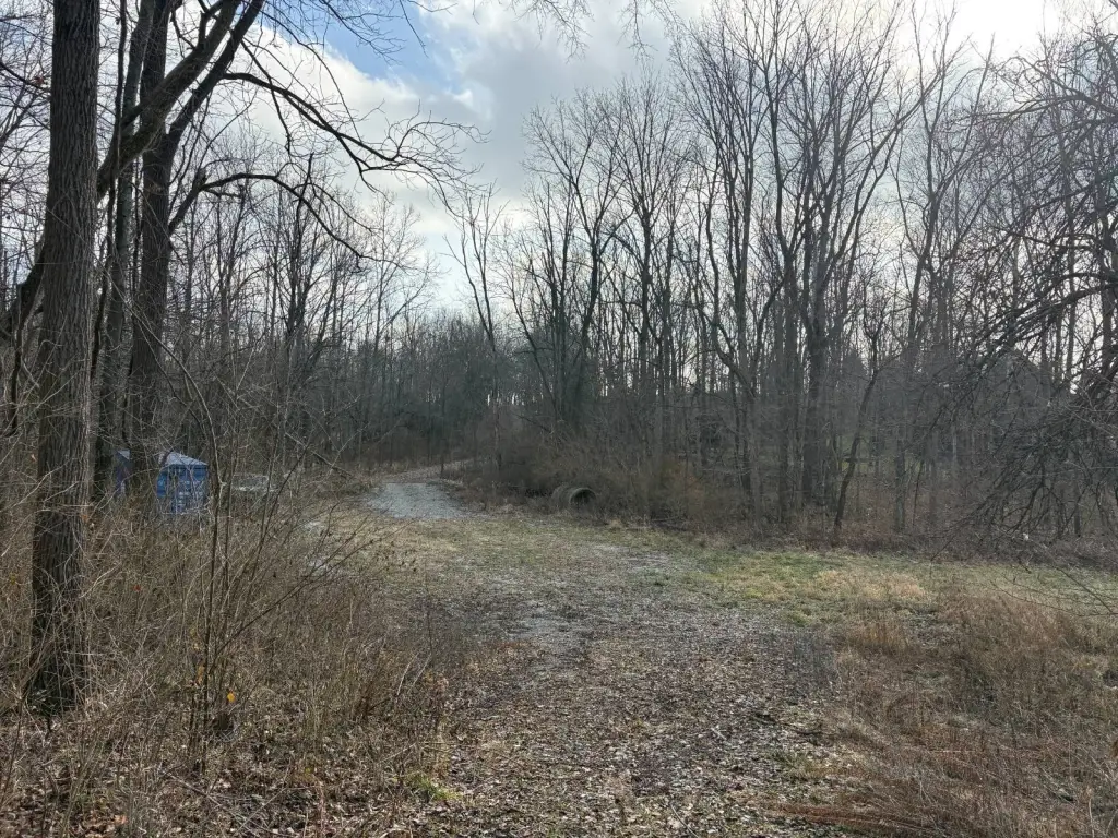 Picture 25