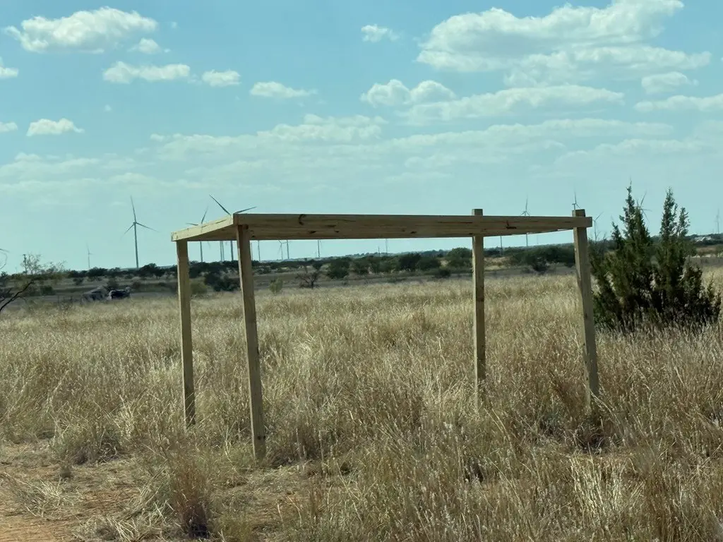 Picture 6