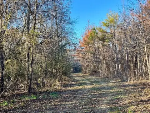 Hunting Land with Income Potential