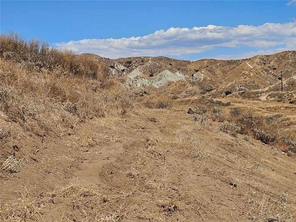 Picture 10