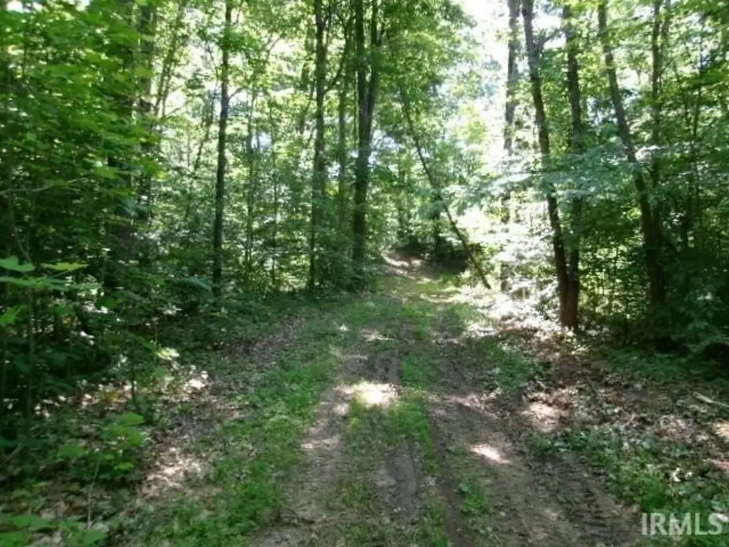 Picture 3