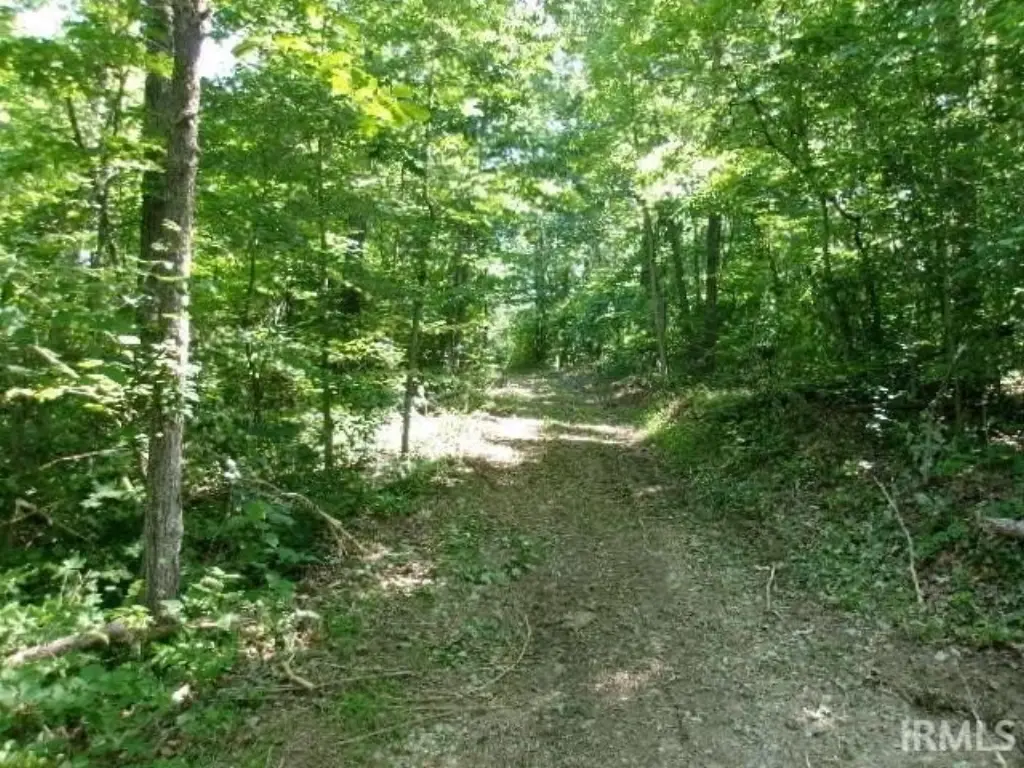 Picture 2