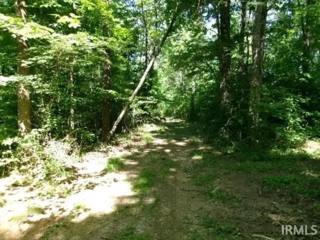 Picture 12
