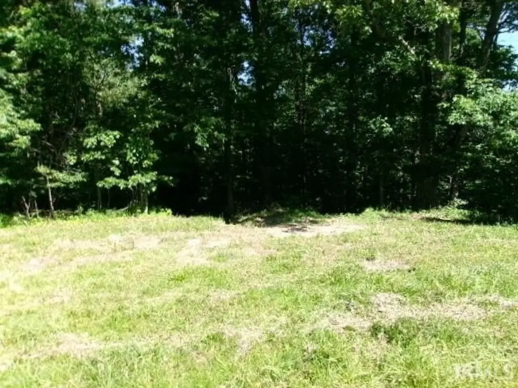 Picture 6
