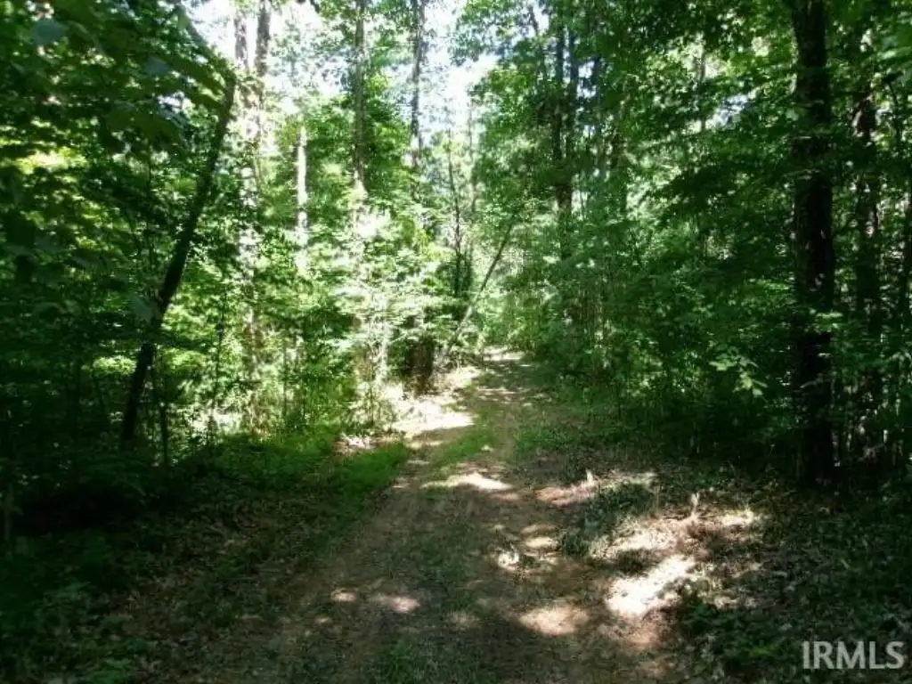Picture 11