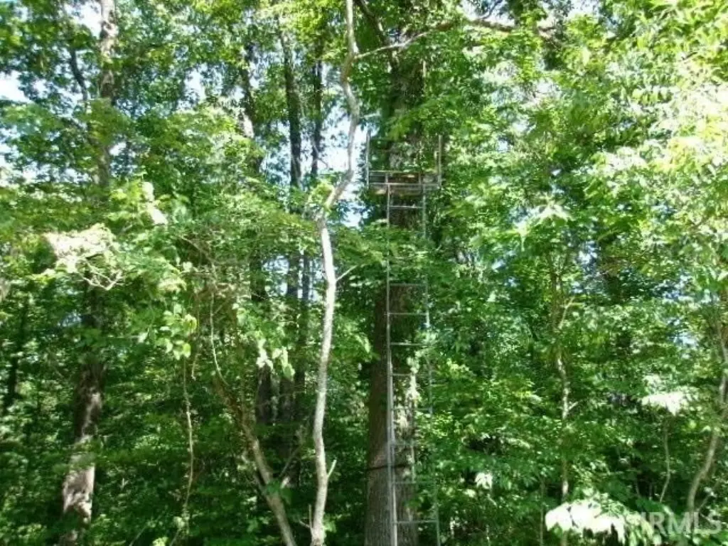 Picture 9