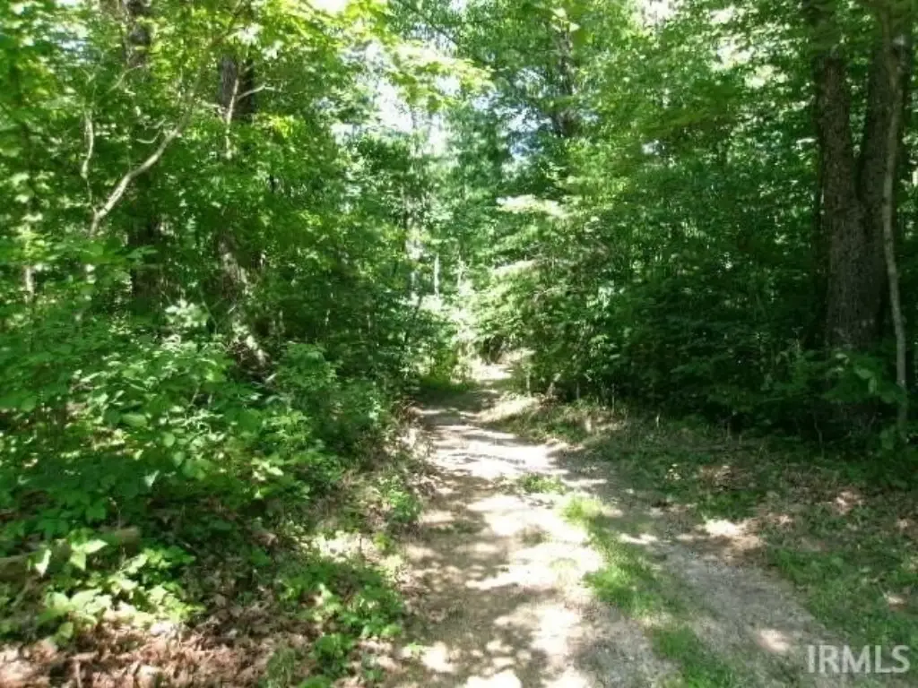 Picture 10