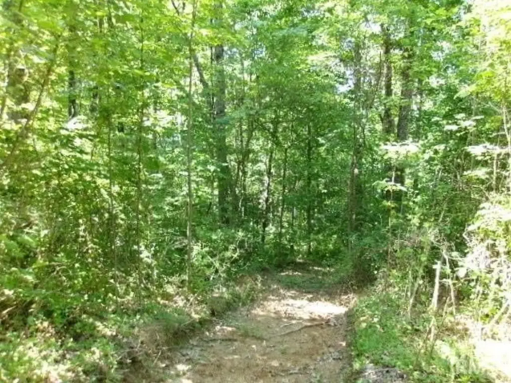 Picture 13
