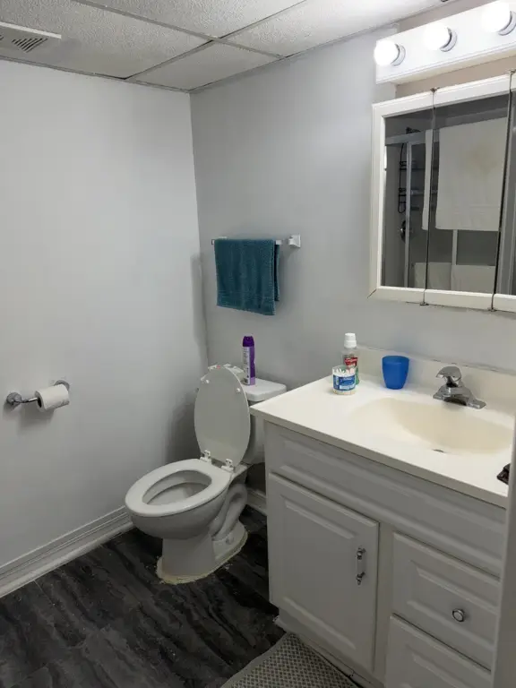 Picture 15