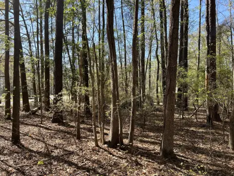 Residential Land in Bridlewood Subdivision