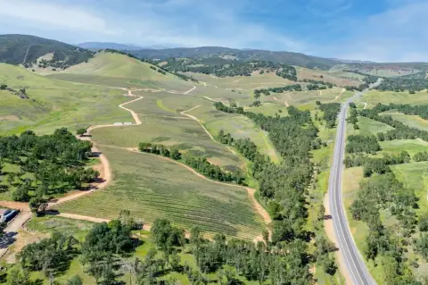 Lake County Vineyard with Development Potential