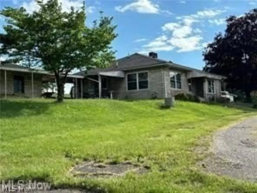 Picture 7