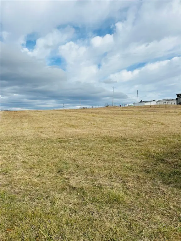 Picture 9
