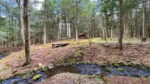 Wooded Recreation Land with Stream