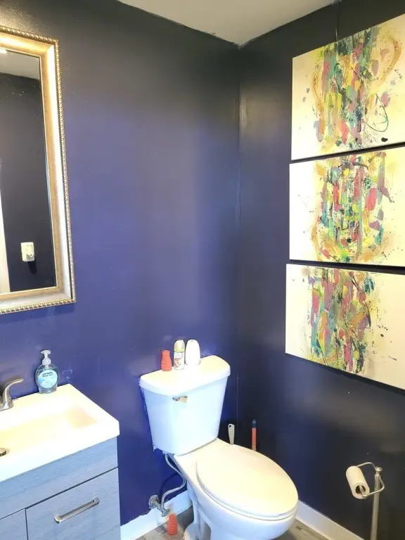Picture 12