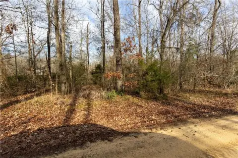 Residential Land in Orrville, Alabama