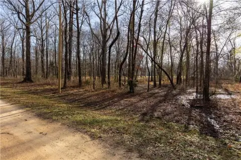 Residential Land Near Alabama River