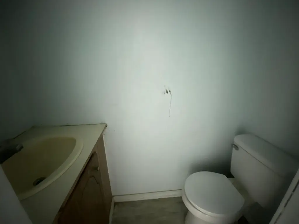 Picture 12