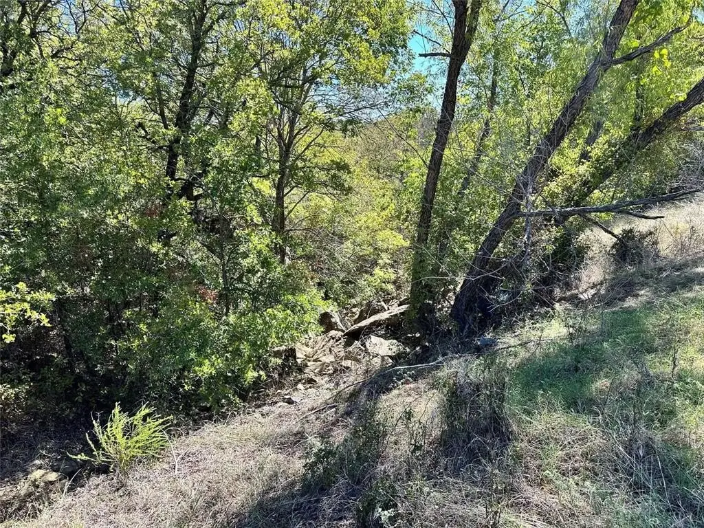 Picture 19