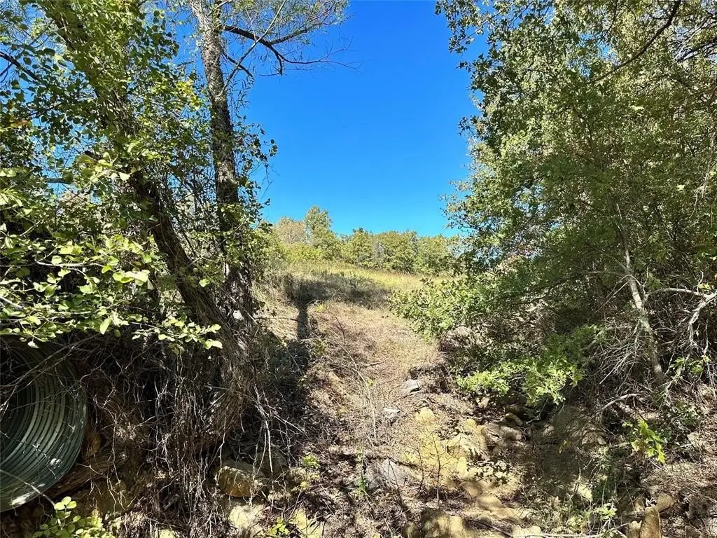 Picture 16