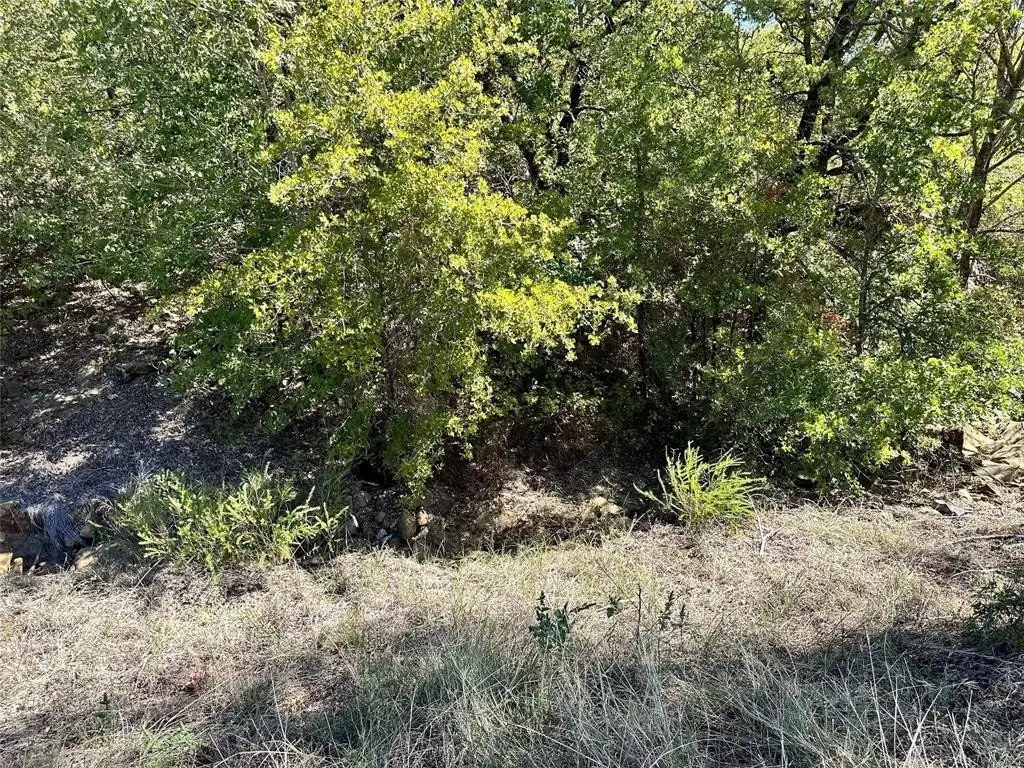 Picture 18