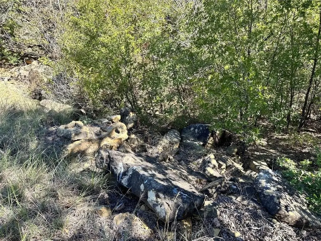Picture 6