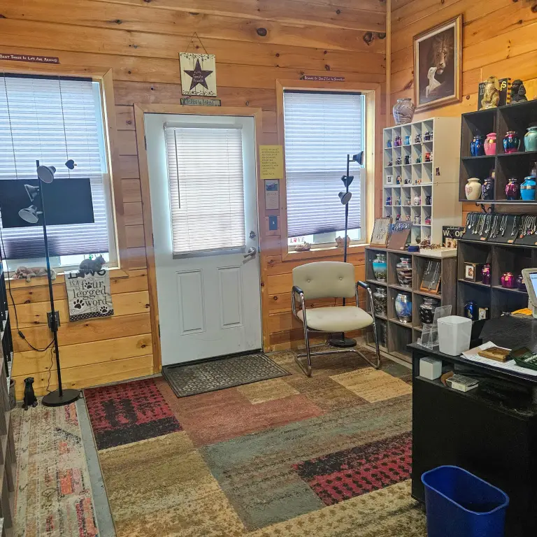 Picture 9