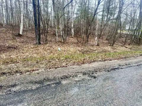 Wooded Land Near Michaywe Amenities