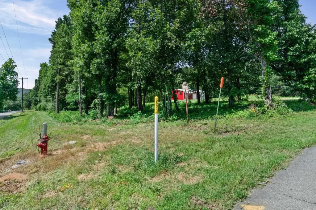 Picture 14