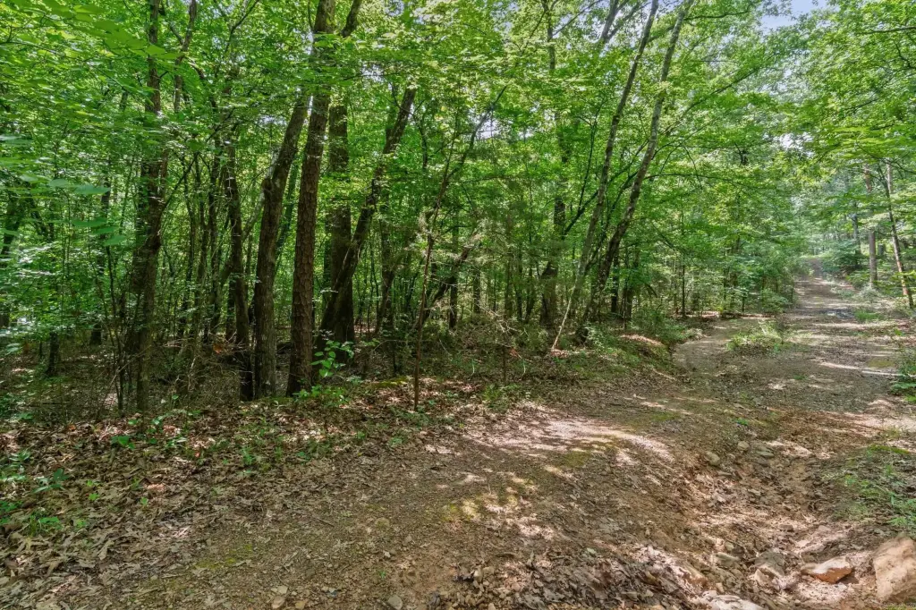 Picture 12