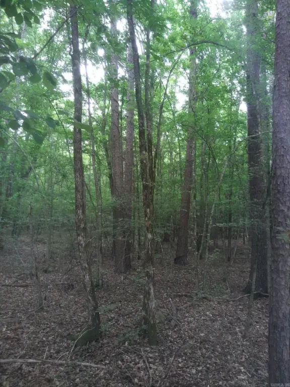 Picture 10