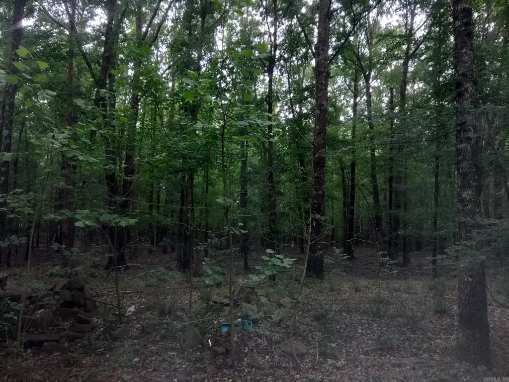 Picture 11