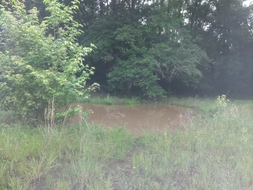 Picture 16