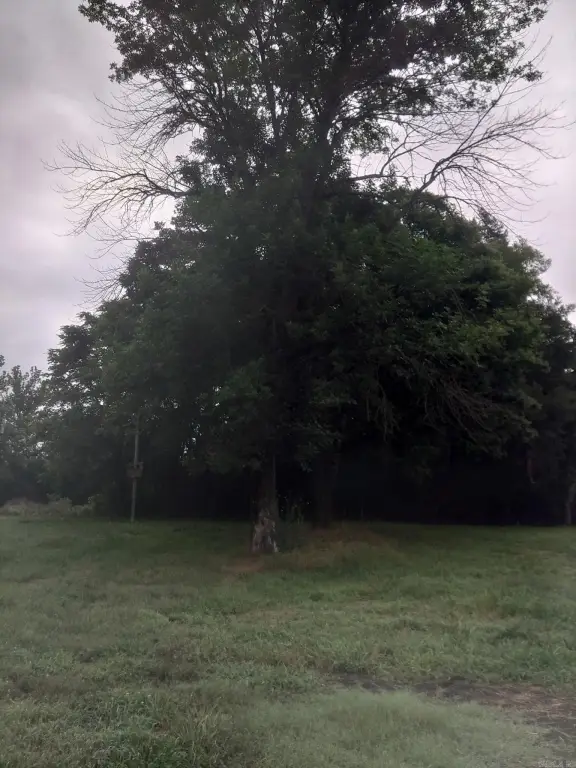 Picture 3