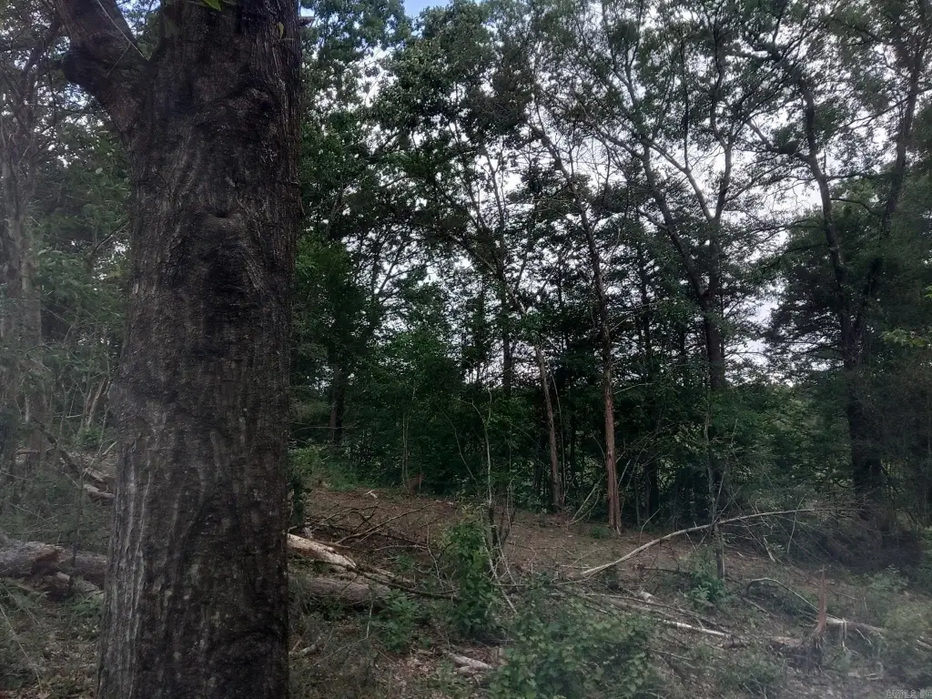 Picture 4