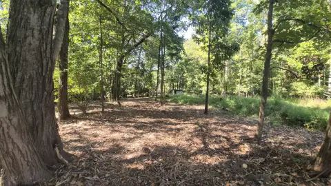 Unrestricted Acre in Monteagle Heart
