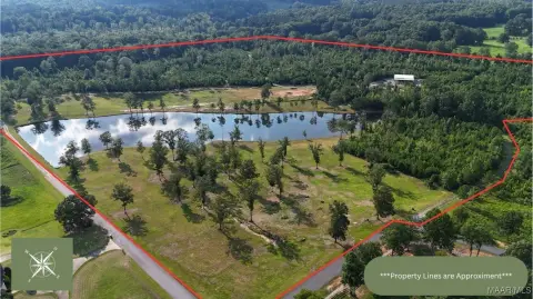58 Acres in Cross Creek