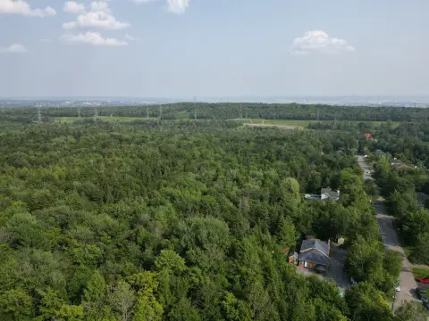 Forested Recreation Land