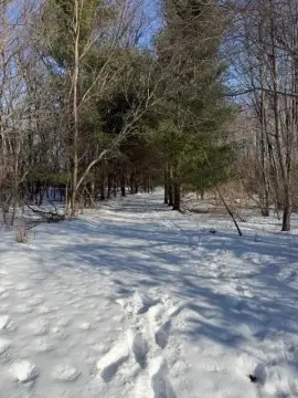 Secluded 6.6-Acre Parcel