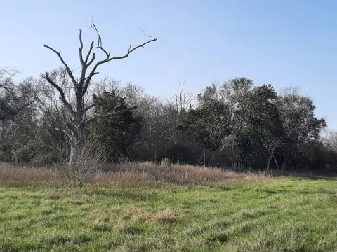 Hallettsville Vacant Land Opportunity