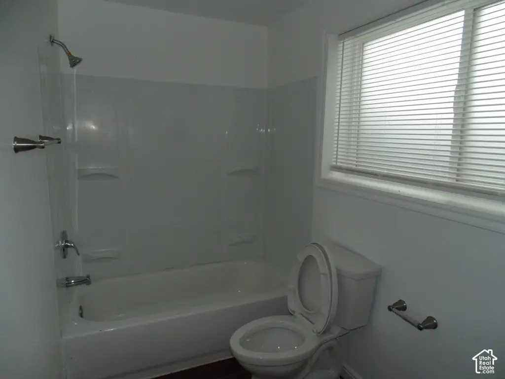 Picture 17