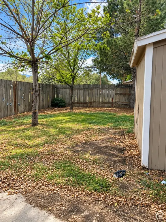 Picture 18